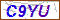 Key in what you see in this image before submitting the form
